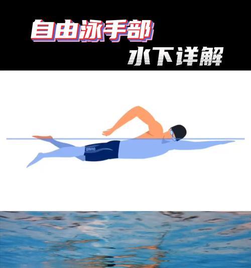 自由泳换气技巧的训练（以腿部和手部动作为主要技术点）