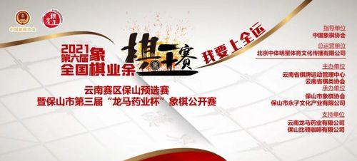 象棋技巧精髓（凝练而来的文化宝藏）