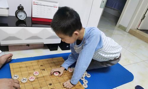 与象棋大师对战的技巧（从开局到残局，从思维到心态）