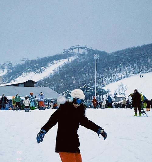 单板滑雪极限技巧（冲刺高峰，尽显雪道）