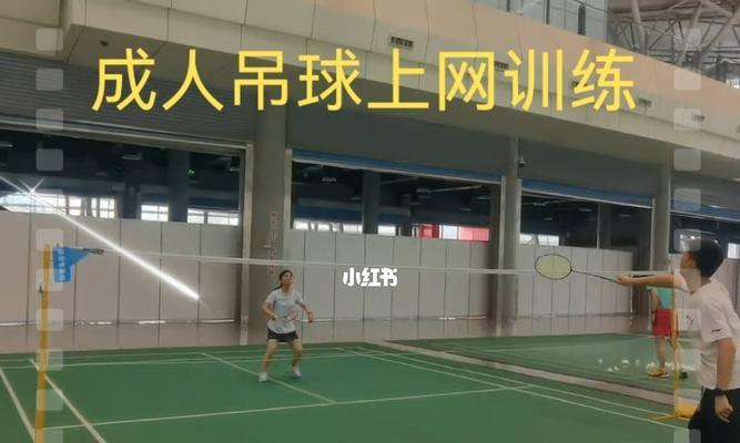 羽毛球双打反手吊球技巧（挑战高难度，掌握反手吊球的技巧和要点）