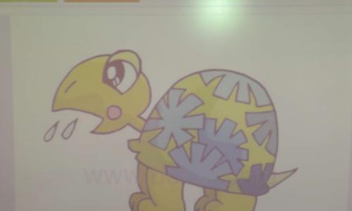 如何用篮球爬乌龟（篮球技巧与乌龟行为的结合）