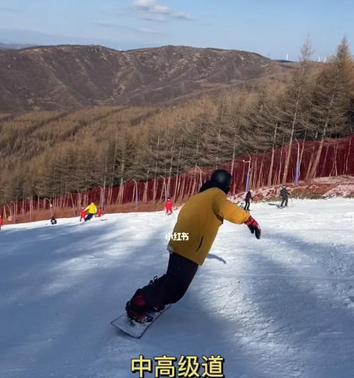 单板滑雪技巧详解（掌握技巧）