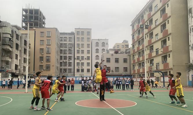 掌握篮球排球技巧的秘诀（从零开始学习篮球排球技巧）