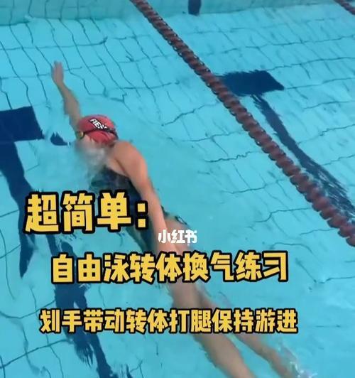 自由泳技巧提升攻略（从零基础到高手）