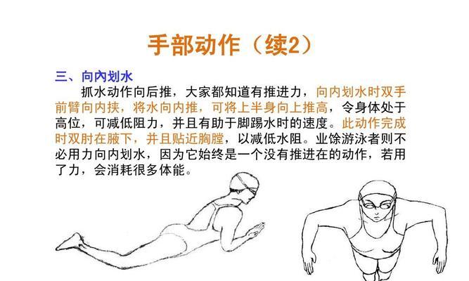 正确换气方式，提升自由泳技巧（手肘关键放置）