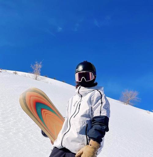 单板滑雪雪上技巧详解（如何掌握雪上技巧）