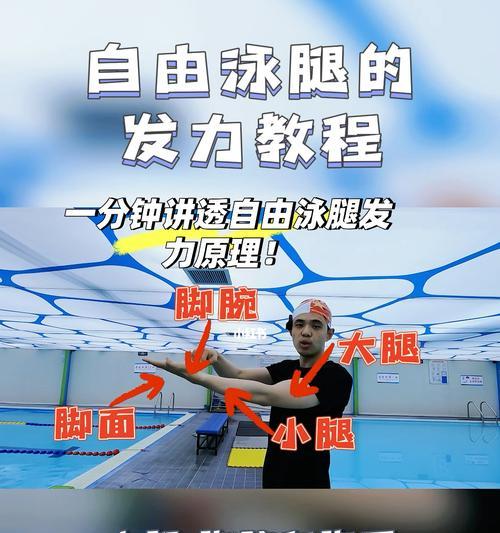 自由泳换气呛水原因及解决方法（掌握正确的自由泳呼吸技巧）