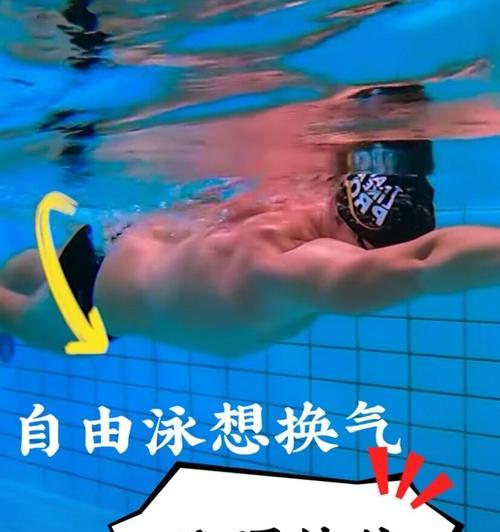 如何正确地进行自由泳一边换气两边换气（技巧）