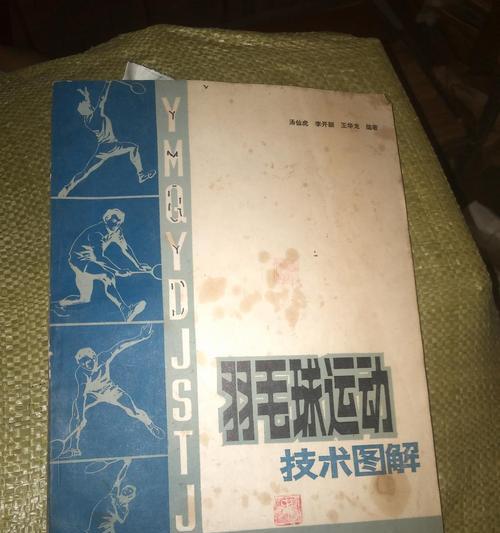 羽毛球双打中速度与发球技巧的重要性（提高比赛胜率的关键技术）