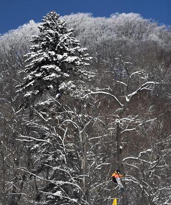 冬奥会单板滑雪坡面障碍技巧规则剖析（挑战极限的高难度运动赛事）