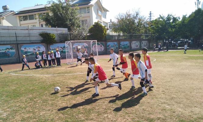 足球之道——融合体力、技巧、智力与战术（探索足球运动的多维度精髓）