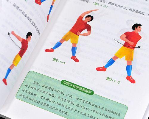 初学者乒乓球训练技巧（掌握正确姿势）