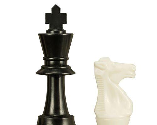国际象棋必备技巧（从入门到精通）