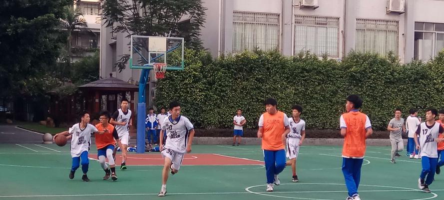 篮球技巧提前变相绝招（从初学者到高手）