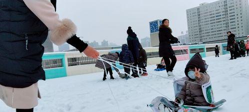 滑雪大作战必备技巧（从入门到高级全面解析）