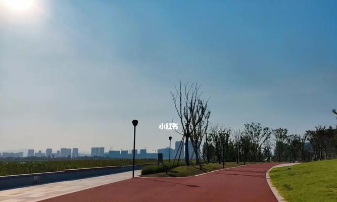 如何提升快跑技巧——掌握这些方法，轻松加速（15个技巧让你快速提升快跑水平）