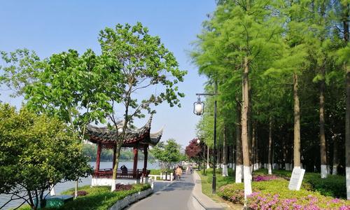 如何提高竞赛800米跑步技巧（15个口诀教你成为800米高手）
