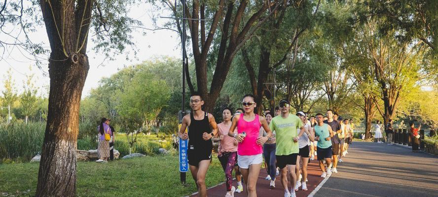 掌握跑步逃跑技巧，提升生存能力（掌握跑步逃跑技巧）