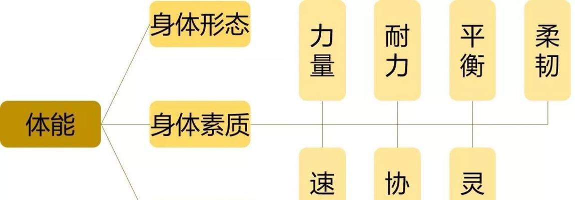 如何提升步频（掌握步频提升技巧）