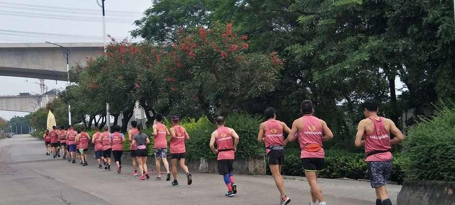 如何有效地跑马拉松（掌握跑步技巧和方法）