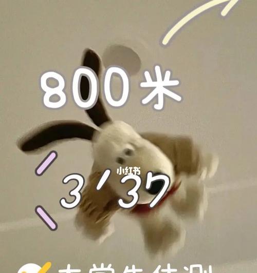 大学体测女生800米跑步技巧有哪些？如何提高跑步成绩？