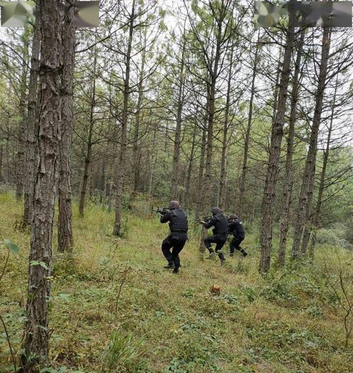 特警3000米跑步技巧教程大全？如何提高跑步速度和耐力？