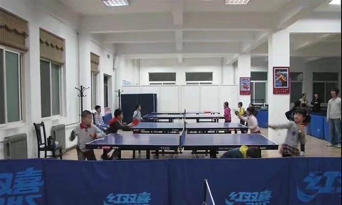 乒乓球初学者如何快速掌握基本技巧？提高球技有哪些有效方法？