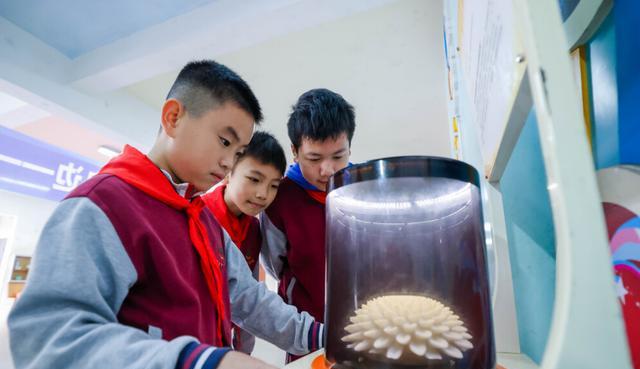 乒乓球充满液氮技巧讲解？如何安全有效地进行？