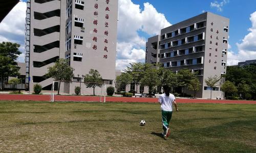 足球边线技巧大全包含哪些内容？如何有效运用？