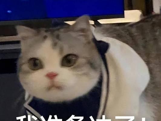 如何掌握高级跑步技巧？跑步提速有哪些秘诀？