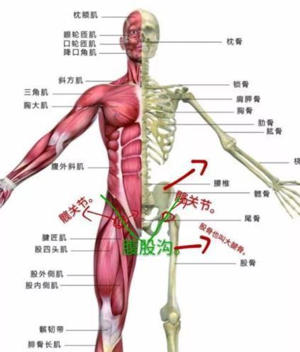 跑步送胯技巧是什么？如何正确掌握跑步送胯技巧？