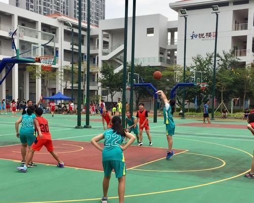 篮球新手必备（从基础到高阶）