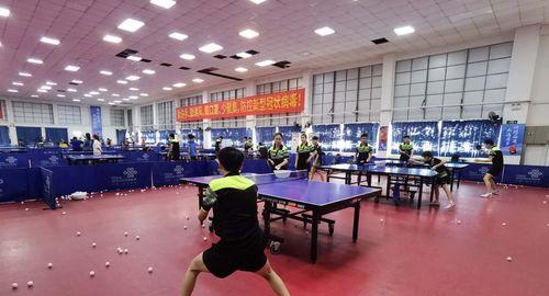 初学者如何正确开始学习乒乓球？掌握哪些技巧才能快速提高？